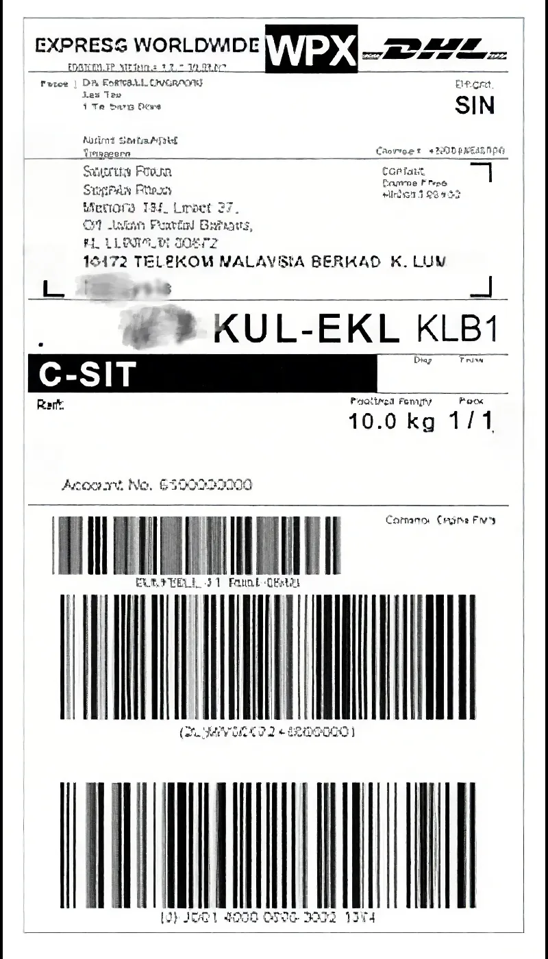 DHL Shipping Label Elements